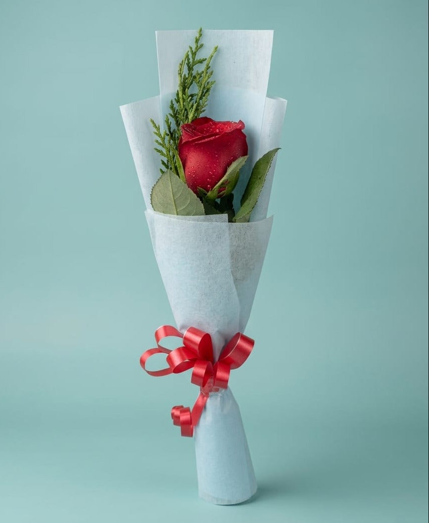 Single Rose
