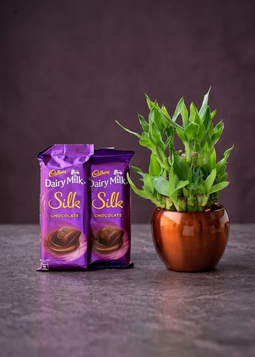 Bamboo Plant with Silk