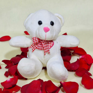 Small White Teddy