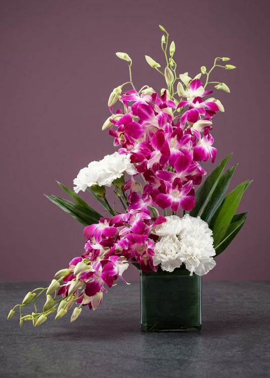Orchids Bloom