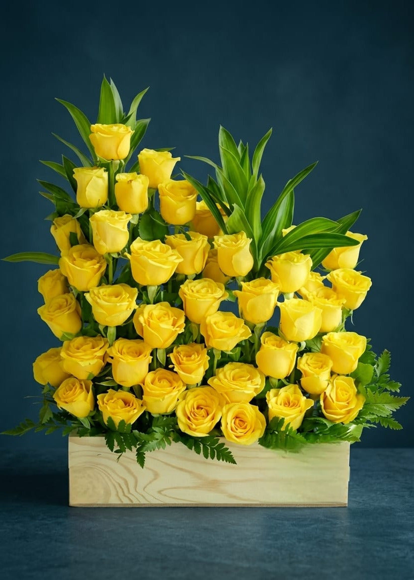 Yellow Roses Vibrant
