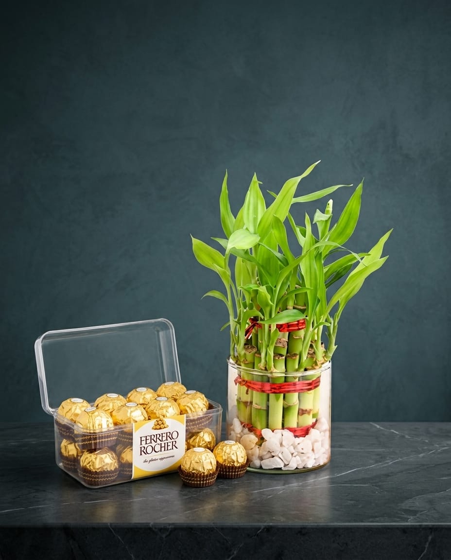 Ferrero Rocher & lucky bamboo Combo
